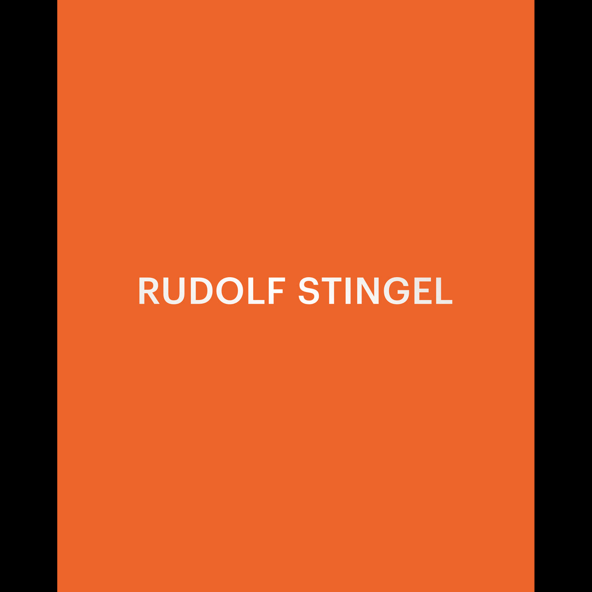 Coverbild Rudolf Stingel